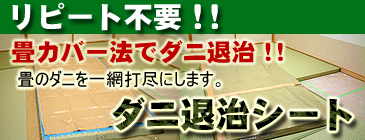 リピート不要のダニ退治シート