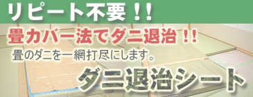 リピート不要のダニ退治シート
