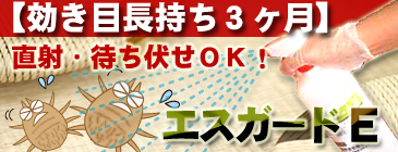 効果３ヶ月！あらゆる害虫を駆除できるスプレー殺虫剤エスガードＥ