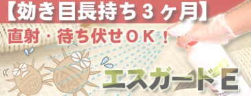 効果３ヶ月！あらゆる害虫を駆除できるスプレー殺虫剤エスガードＥ
