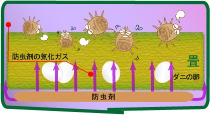 シートで畳と防虫剤を包んだ状態2段階目