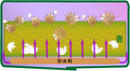 シートで畳を包んだ状態3