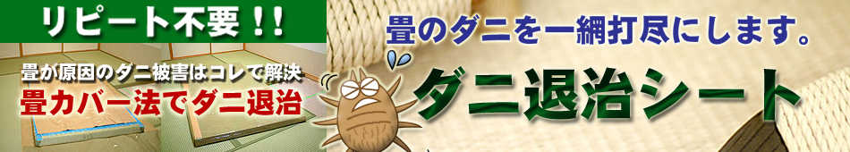 加護屋製薬のダニ退治シート