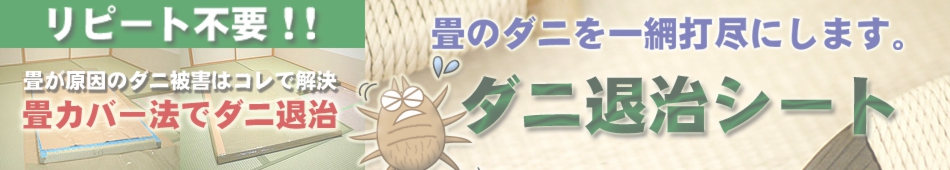 加護屋製薬のダニ退治シート