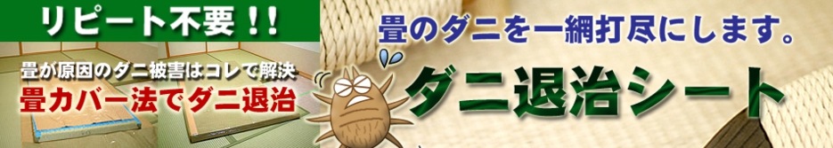 加護屋製薬のダニ退治シート