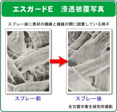 薬剤浸透被覆形成画像