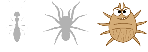 昆虫とダニとの違い.png